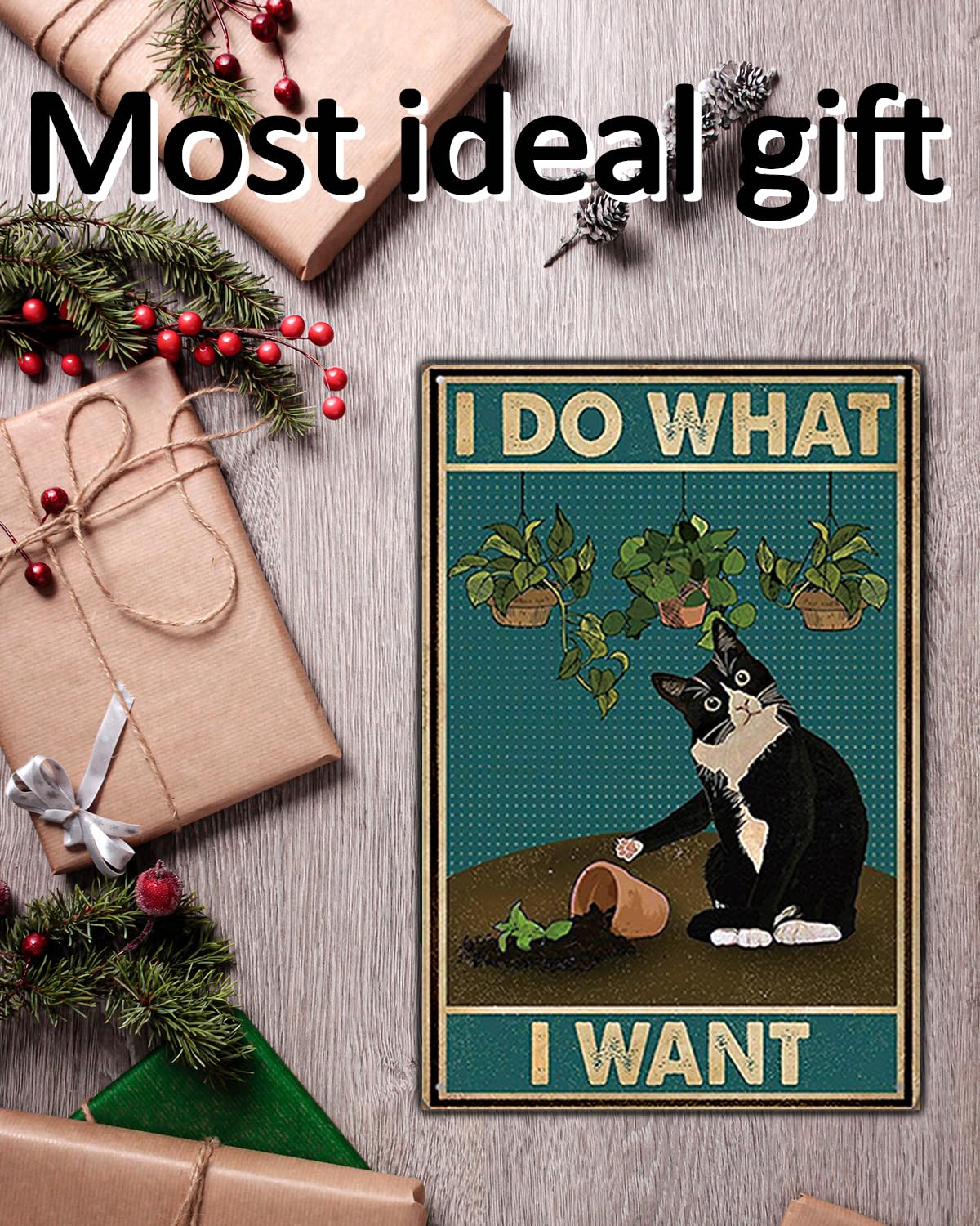 Amazon.co.jp: 猫の壁飾り-007 : Home & Kitchen